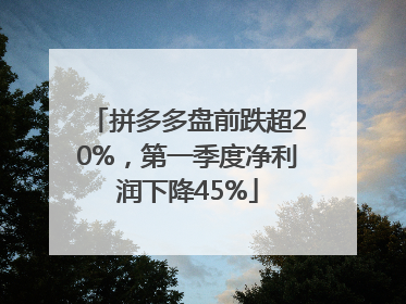 拼多多盘前跌超20%，第一季度净利润下降45%