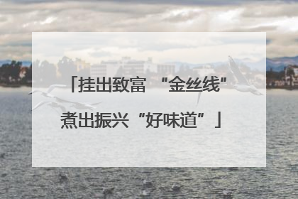 挂出致富 “金丝线” 煮出振兴“好味道”