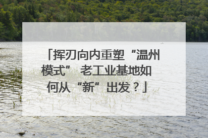 挥刃向内重塑“温州模式” 老工业基地如何从“新”出发？