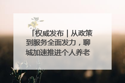 权威发布｜从政策到服务全面发力，聊城加速推进个人养老金制度落地