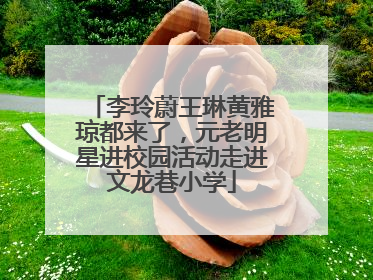 李玲蔚王琳黄雅琼都来了，元老明星进校园活动走进文龙巷小学