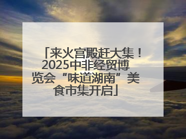 来火宫殿赶大集！2025中非经贸博览会“味道湖南”美食市集开启