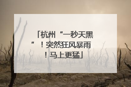 杭州“一秒天黑”！突然狂风暴雨！马上更猛