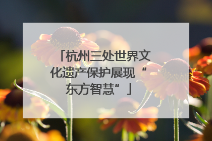 杭州三处世界文化遗产保护展现“东方智慧”