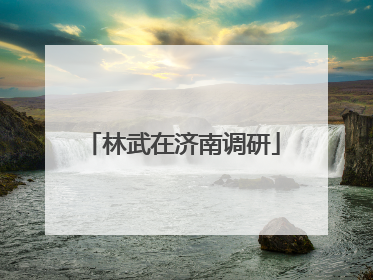 林武在济南调研