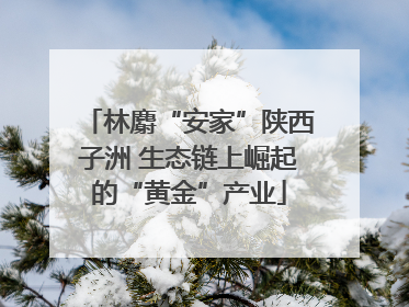 林麝“安家”陕西子洲 生态链上崛起的“黄金”产业