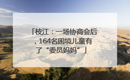 枝江：一场协商会后，164名困境儿童有了“委员妈妈”