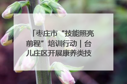 枣庄市“技能照亮前程”培训行动｜台儿庄区开展康养类技能进校园活动