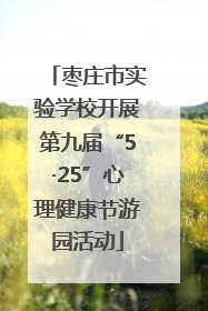 枣庄市实验学校开展第九届“5·25”心理健康节游园活动