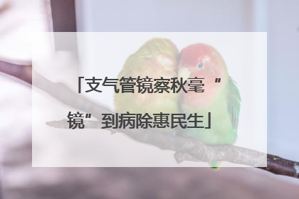 支气管镜察秋毫“镜”到病除惠民生