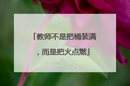 教师不是把桶装满，而是把火点燃