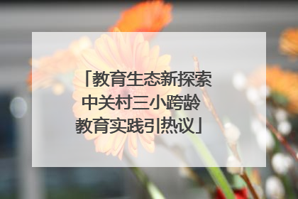 教育生态新探索 中关村三小跨龄教育实践引热议