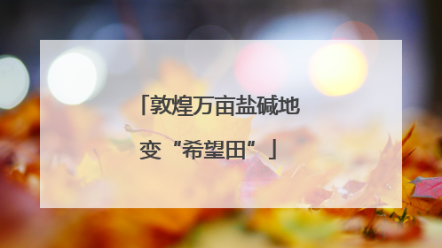敦煌万亩盐碱地变“希望田”