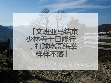 文班亚马结束少林寺十日修行，打球吃斋练拳样样不落
