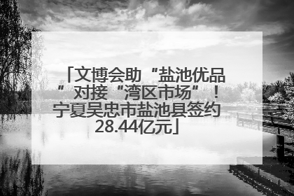 文博会助“盐池优品”对接“湾区市场”！宁夏吴忠市盐池县签约28.44亿元