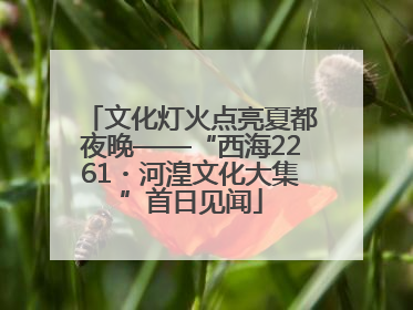 文化灯火点亮夏都夜晚——“西海2261・河湟文化大集”首日见闻