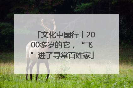 文化中国行丨2000多岁的它，“飞”进了寻常百姓家