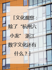 文化观察：除了“杭州六小龙” 浙江数字文化还有什么？