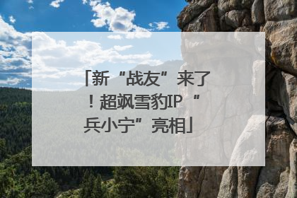 新“战友”来了！超飒雪豹IP“兵小宁”亮相