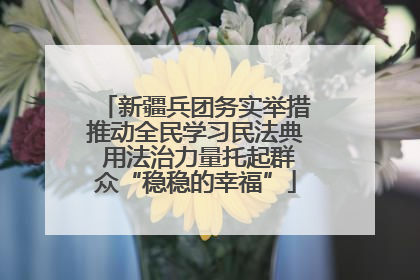 新疆兵团务实举措推动全民学习民法典 用法治力量托起群众“稳稳的幸福”