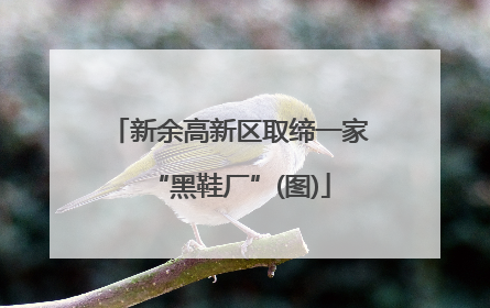 新余高新区取缔一家“黑鞋厂”(图)