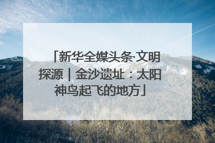 新华全媒头条·文明探源｜金沙遗址：太阳神鸟起飞的地方
