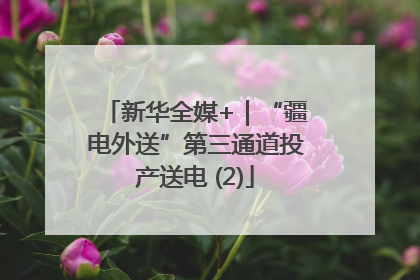 新华全媒+｜“疆电外送”第三通道投产送电 (2)