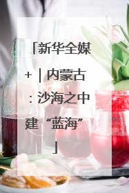新华全媒+｜内蒙古：沙海之中建“蓝海”