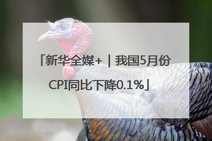 新华全媒+｜我国5月份CPI同比下降0.1%