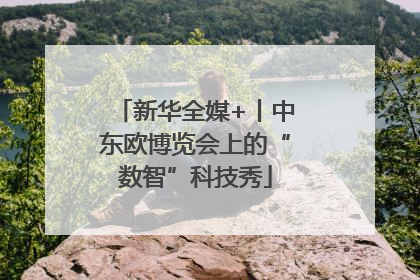 新华全媒+丨中东欧博览会上的“数智”科技秀
