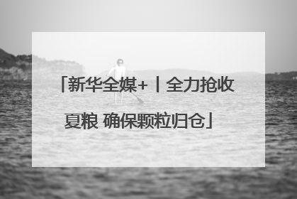新华全媒+丨全力抢收夏粮 确保颗粒归仓