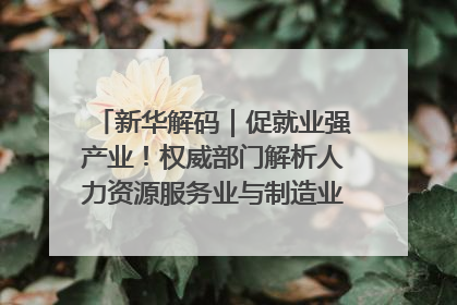 新华解码｜促就业强产业！权威部门解析人力资源服务业与制造业融合发展试点