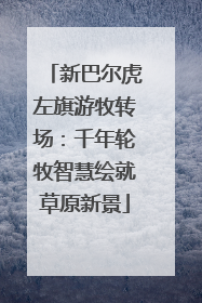 新巴尔虎左旗游牧转场：千年轮牧智慧绘就草原新景