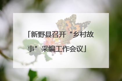 新野县召开“乡村故事”采编工作会议