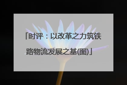 时评：以改革之力筑铁路物流发展之基(图)