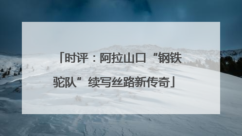时评：阿拉山口“钢铁驼队”续写丝路新传奇