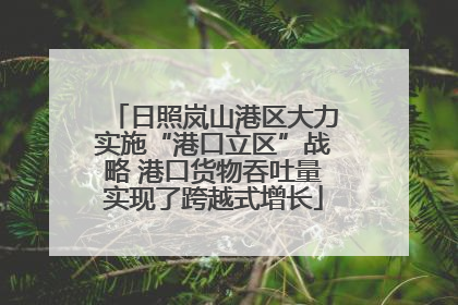 日照岚山港区大力实施“港口立区”战略 港口货物吞吐量实现了跨越式增长