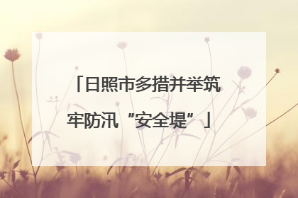 日照市多措并举筑牢防汛“安全堤”