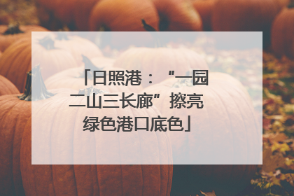 日照港：“一园二山三长廊”擦亮绿色港口底色