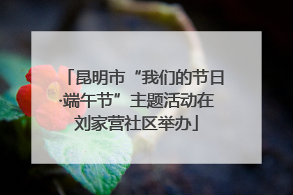 昆明市“我们的节日·端午节”主题活动在刘家营社区举办