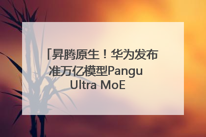昇腾原生！华为发布准万亿模型Pangu Ultra MoE模型架构和训练细节