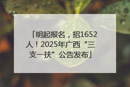 明起报名，招1652人！2025年广西“三支一扶”公告发布