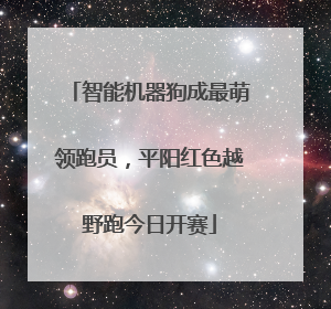 智能机器狗成最萌领跑员，平阳红色越野跑今日开赛