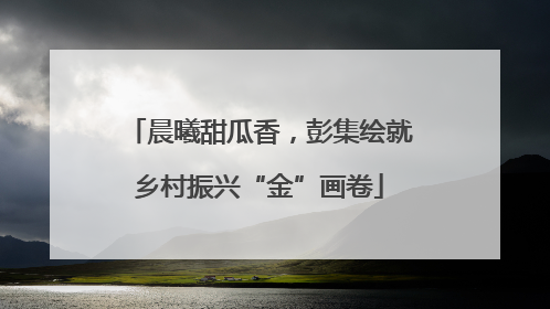 晨曦甜瓜香，彭集绘就乡村振兴“金”画卷