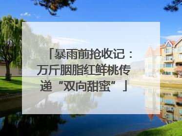 暴雨前抢收记：万斤胭脂红鲜桃传递“双向甜蜜”