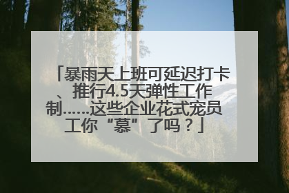 暴雨天上班可延迟打卡、推行4.5天弹性工作制……这些企业花式宠员工你“慕”了吗？