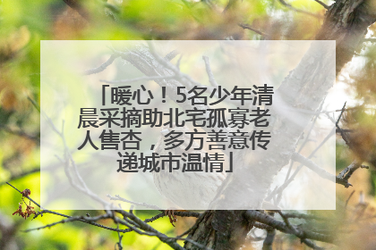暖心！5名少年清晨采摘助北宅孤寡老人售杏，多方善意传递城市温情