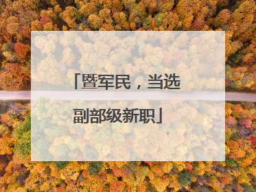 暨军民，当选副部级新职