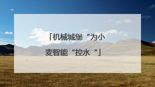 机械城堡“为小麦智能“控水“
