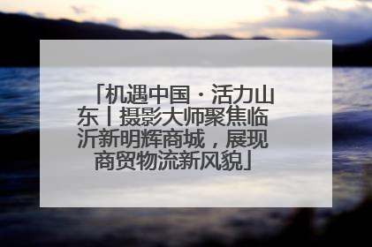 机遇中国・活力山东丨摄影大师聚焦临沂新明辉商城，展现商贸物流新风貌